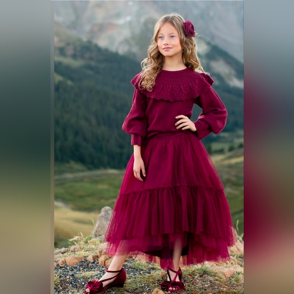 Joyfolie Burgundy Brigitte Sweater And Skirt Set Size 12